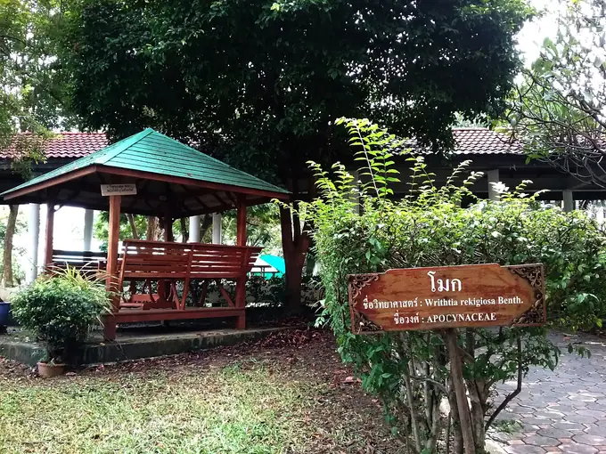 ศาลาพักผ่อนและต้นไม้ประจำวิทยาลัย