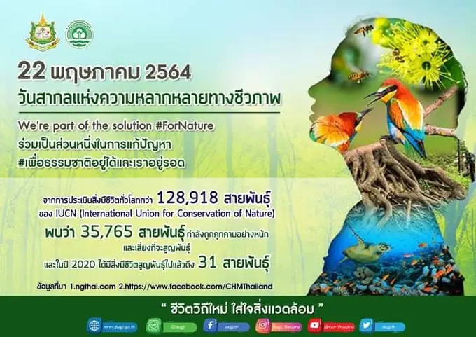 ข่าวประชาสัมพันธ์สิ่งแวดล้อมและพลังงาน