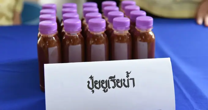 รายวิชาศิลปวิทยาเพื่อการพัฒนามนุษย์ — โครงการพัฒนาศูนย์สร้างเสริมสุขภาวะผู้สูงอายุเนื่องในวันดินโลก