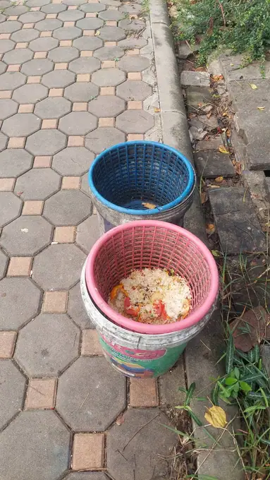 การจัดการขยะในวิทยาลัย